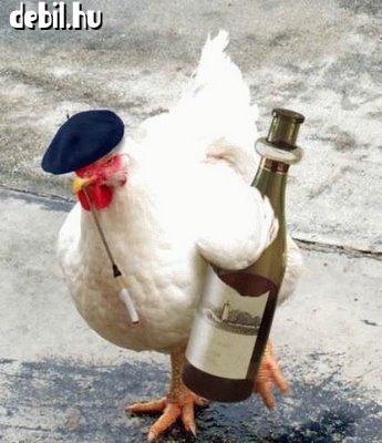 Részeg csirke
