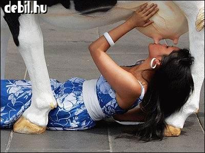 Szopás