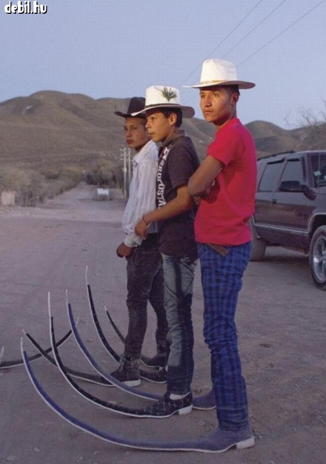 Cowboyok