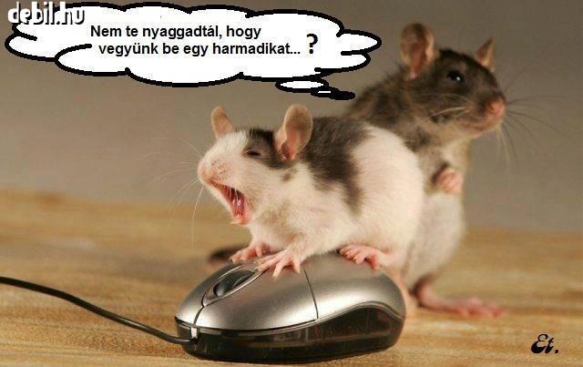 Egérszex