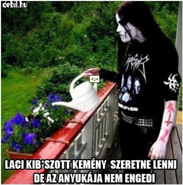 Laci az igenis kemény