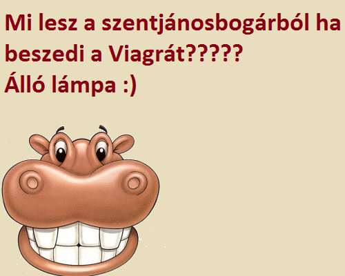 LÁMPA