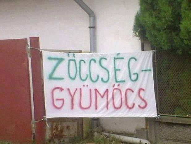 Nem egy agysebész a tulaj