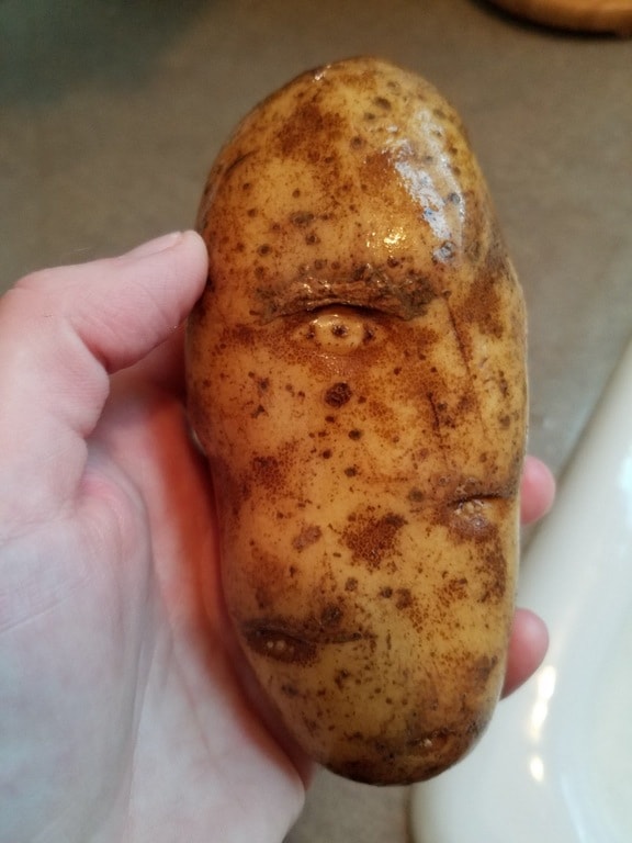 Rád néz a krumpli